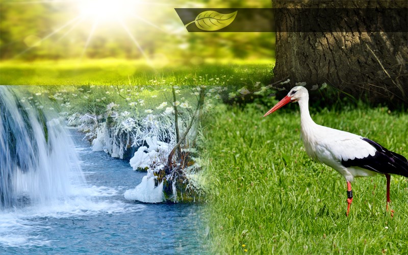 Seragazı İzleme Planın Hazırlanması ve Emisyon Raporunun Hesaplanması Ayemis Eğitim ve Danışmanlık